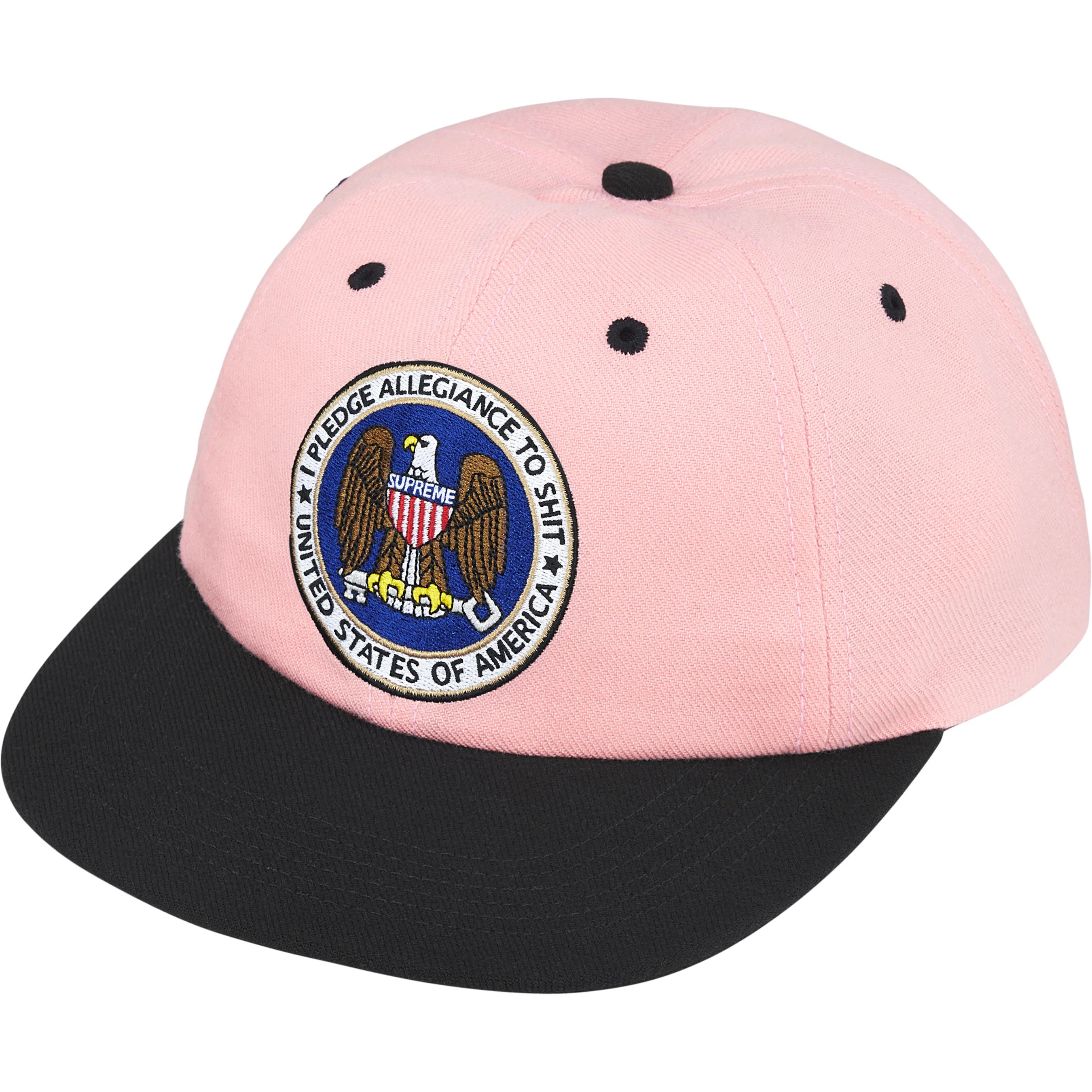 Pledge Allegiance 6-Panel view 7